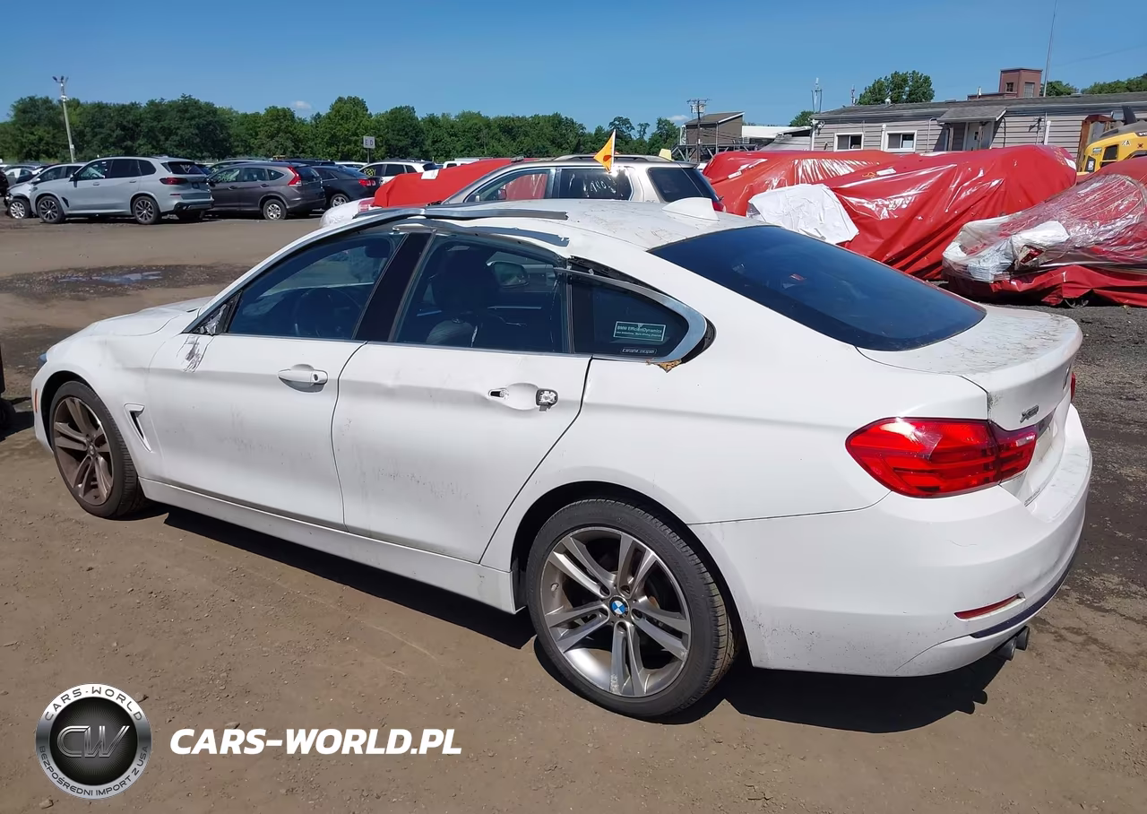 2016 BMW 428I Gran Coupe xDrive VIN:WBA4C9C50GG135966 - 6