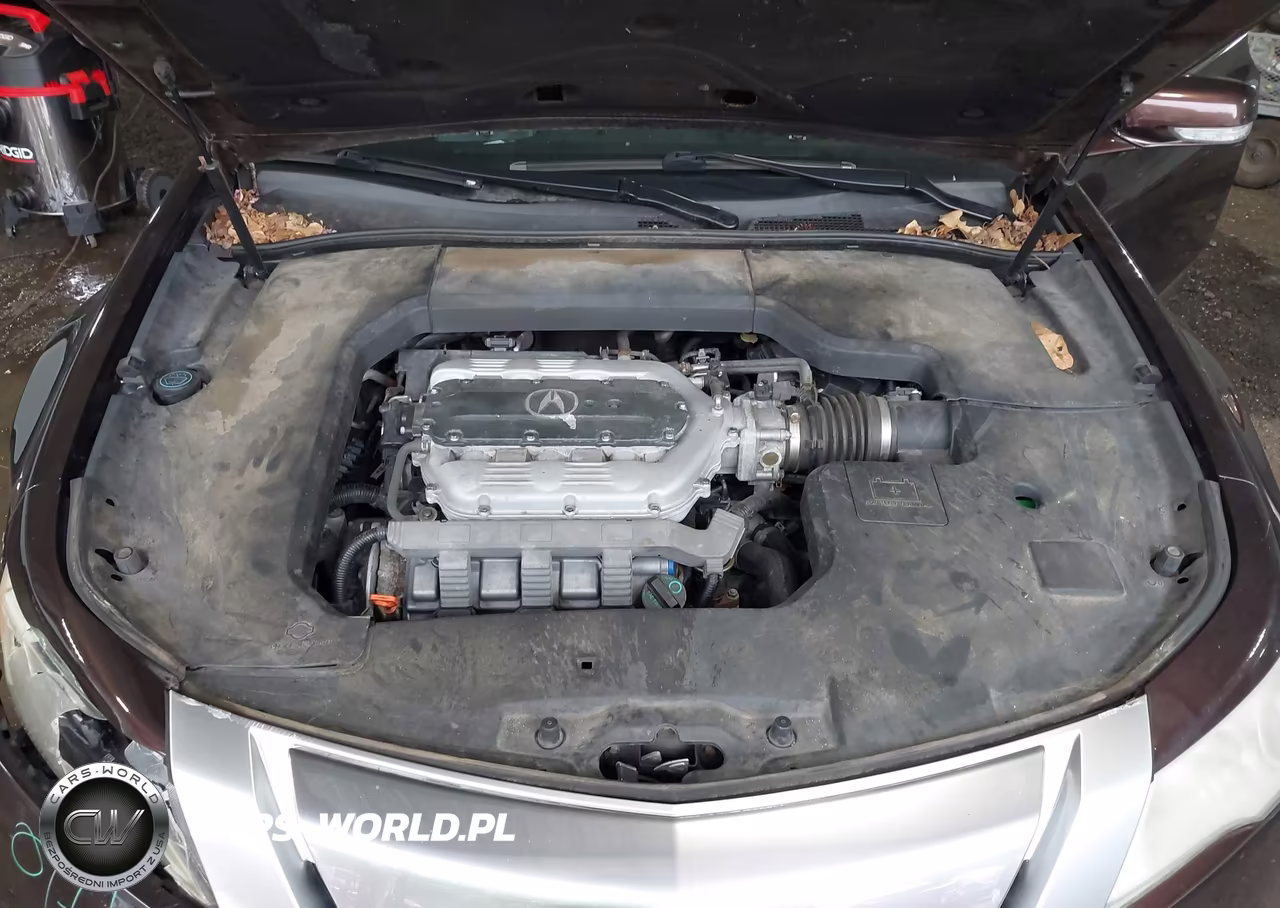 2009 Acura Tl 3.7 VIN:19UUA96599A001646 - 10