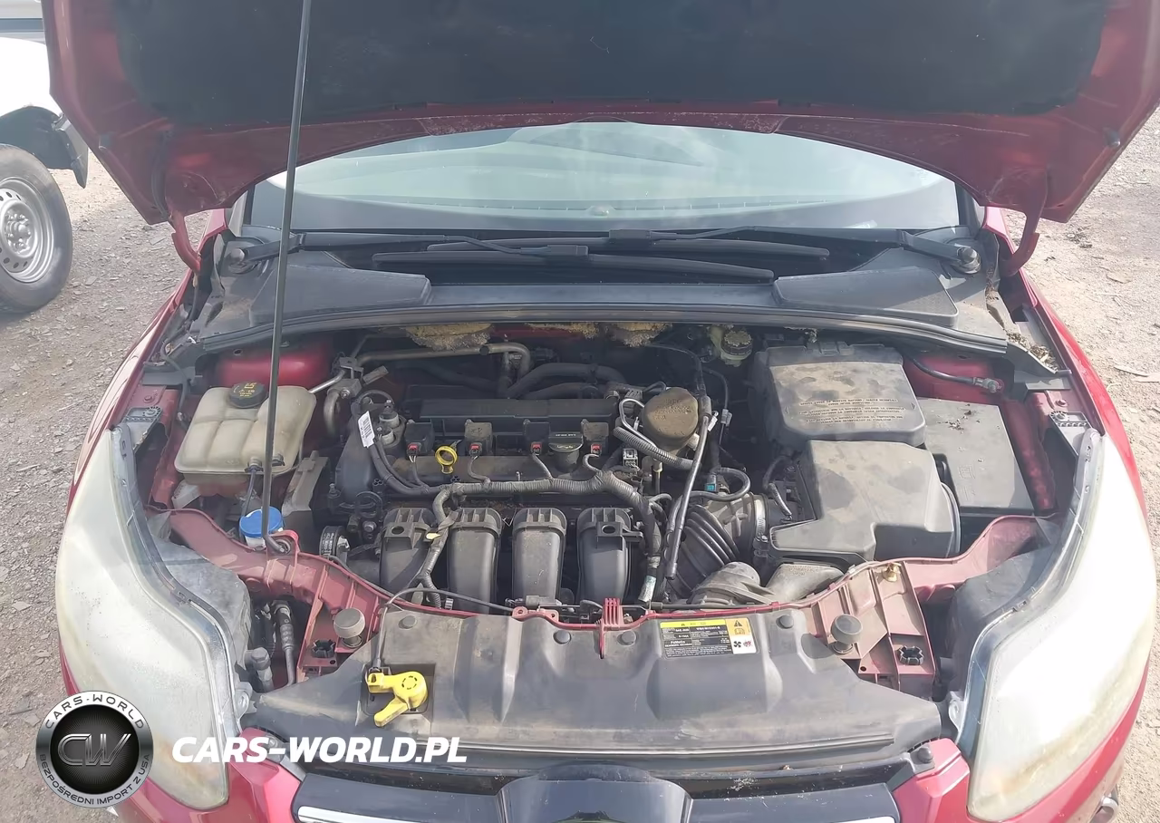 2013 Ford Focus Titanium VIN:1FADP3J25DL369378 - 10