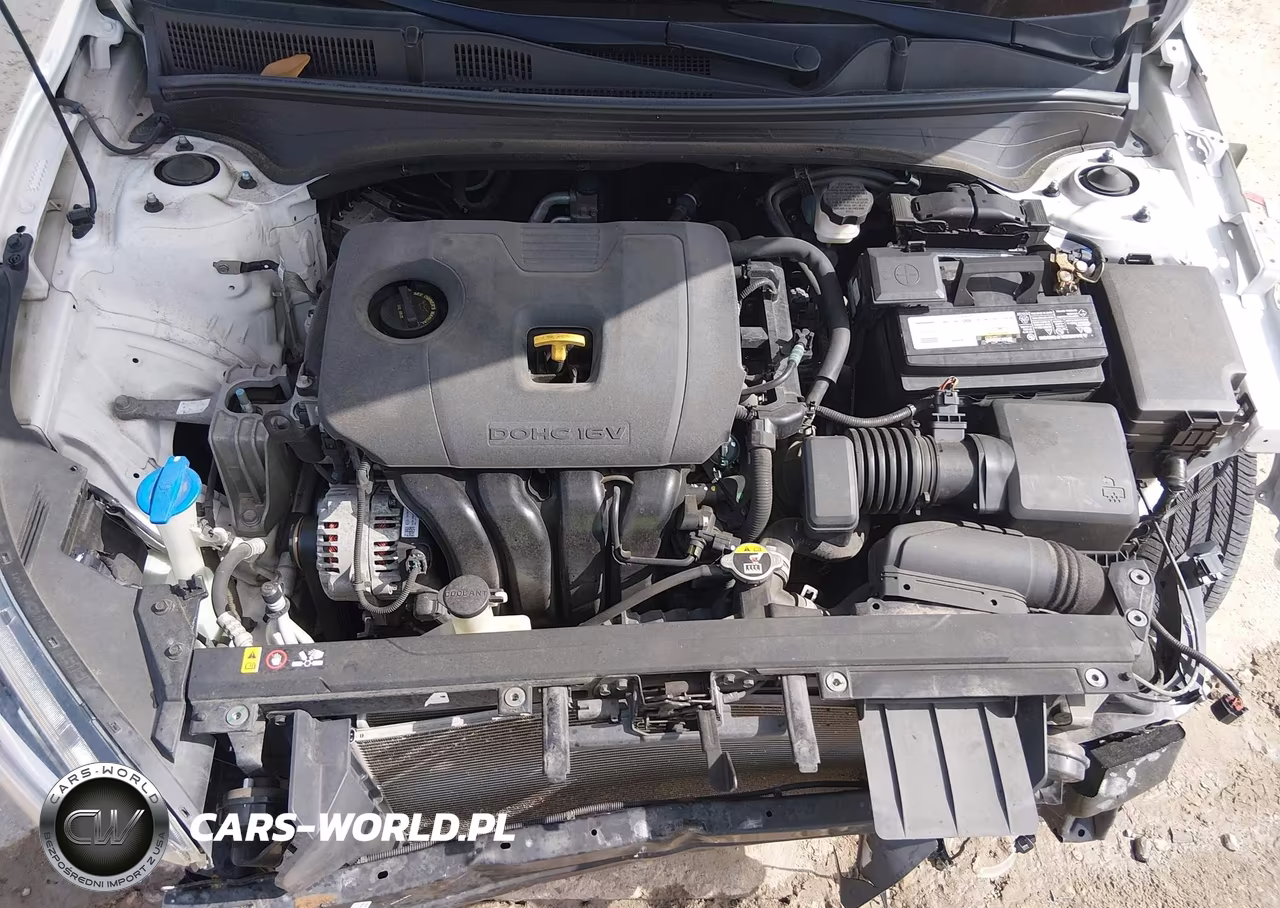 2019 Kia Forte Fe VIN:3KPF24AD0KE091472 - 10
