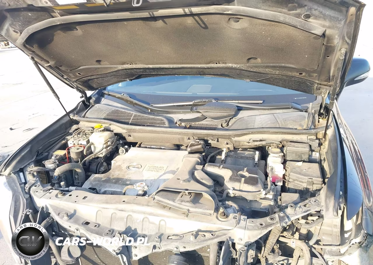 2012 Lexus Rx 450H VIN:JTJZB1BA3C2408138 - 10