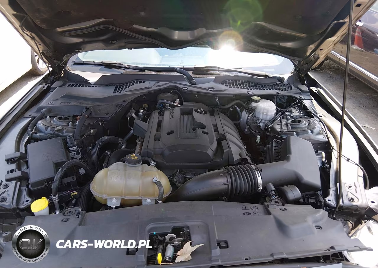 2018 Ford Mustang Ecoboost VIN:1FA6P8TH0J5174120 - 10