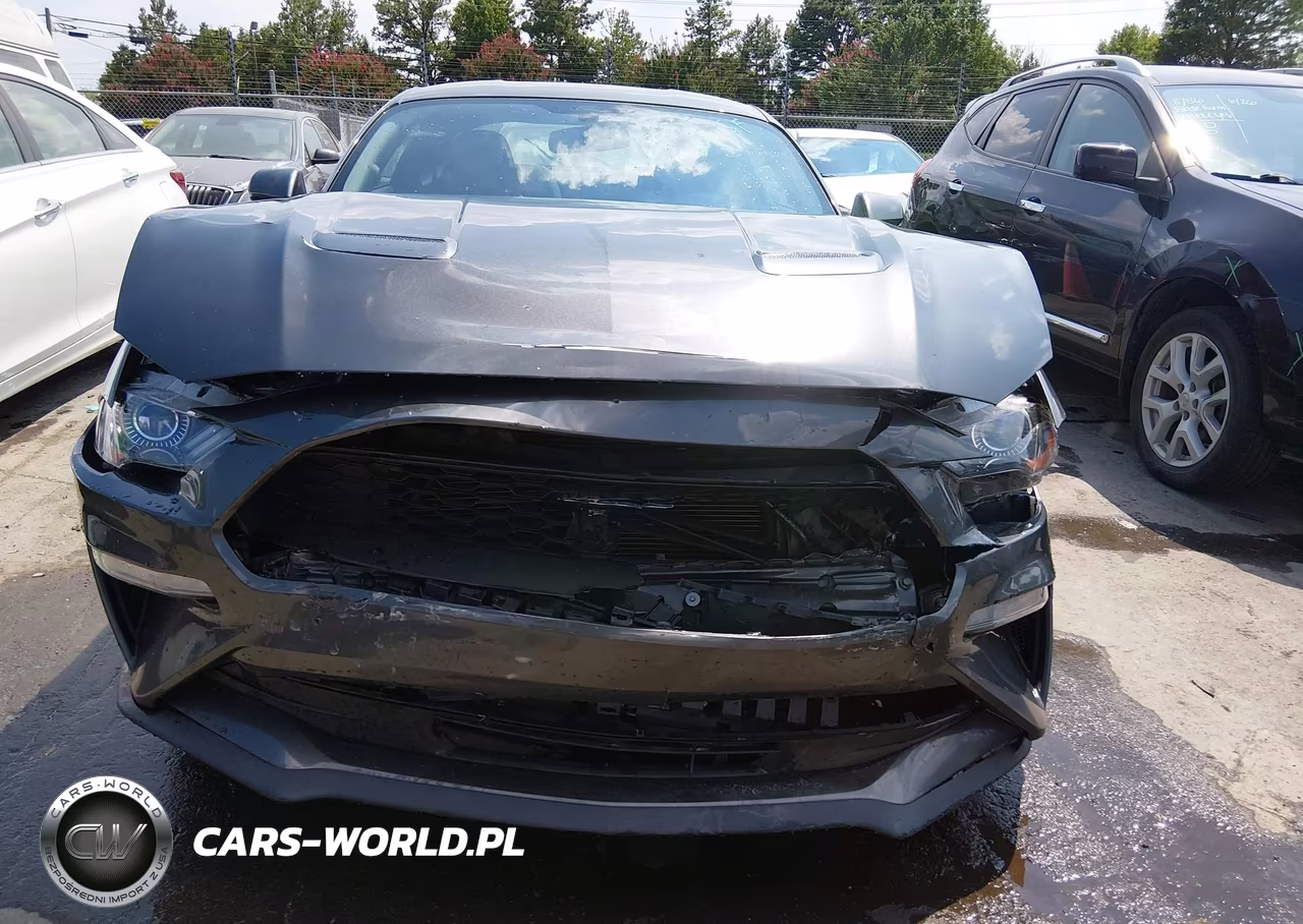 2018 Ford Mustang Ecoboost VIN:1FA6P8TH0J5174120 - 12