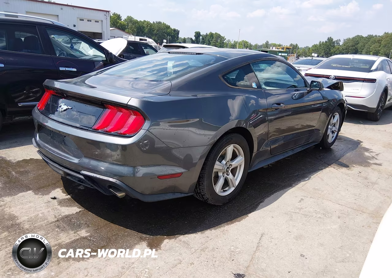 2018 Ford Mustang Ecoboost VIN:1FA6P8TH0J5174120 - 4