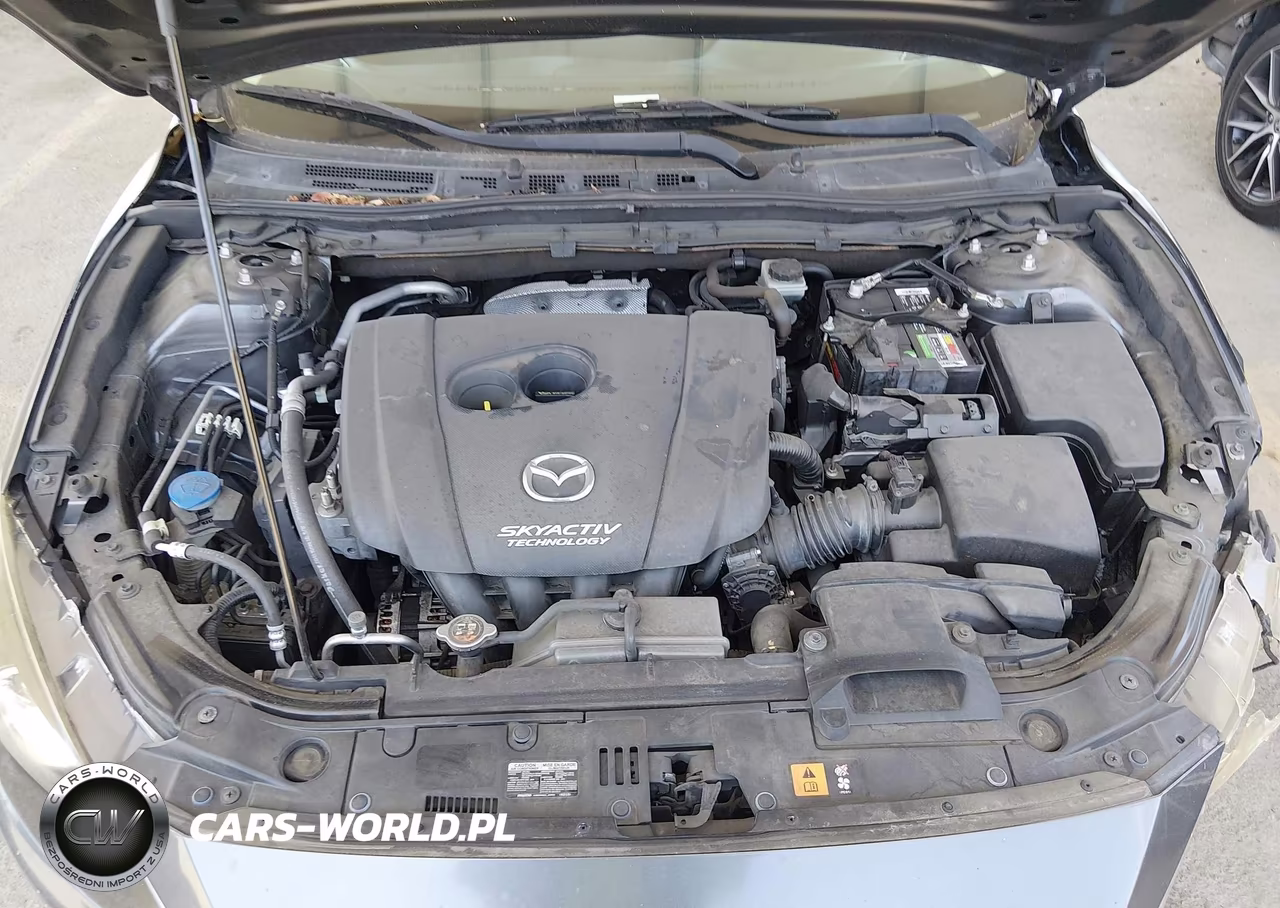 2016 Mazda Mazda3 I Sport VIN:JM1BM1U73G1338569 - 10