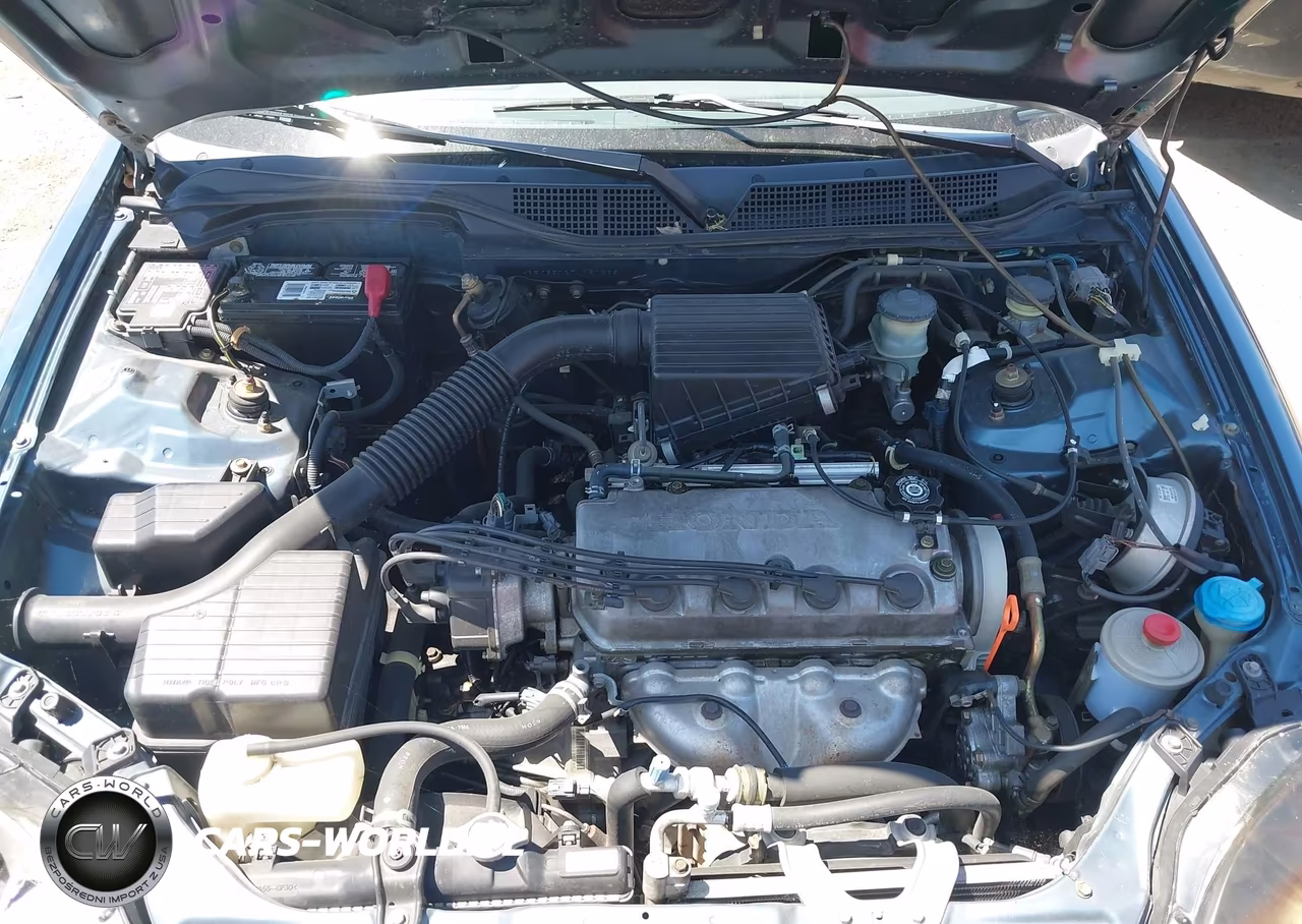 1996 Honda Civic Lx VIN:1HGEJ6502TL050868 - 10