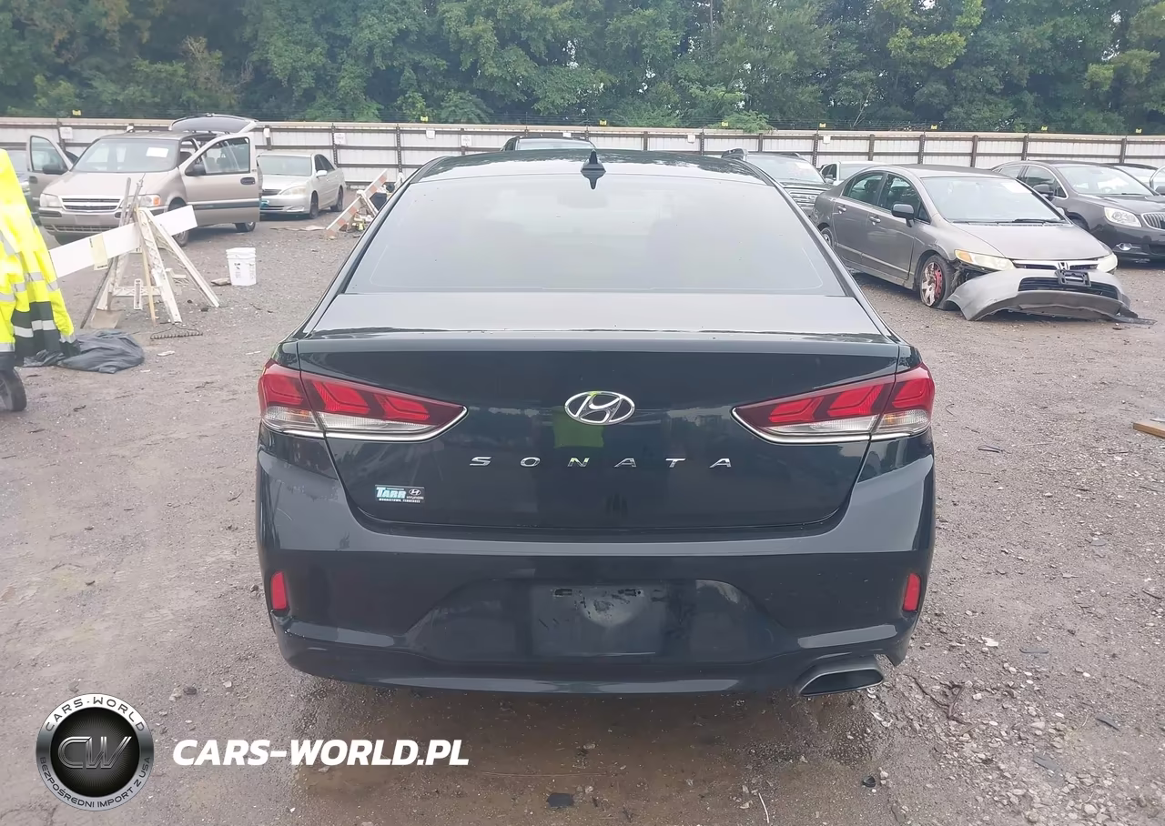 2018 Hyundai Sonata Sel VIN:5NPE34AF3JH616545 - 16