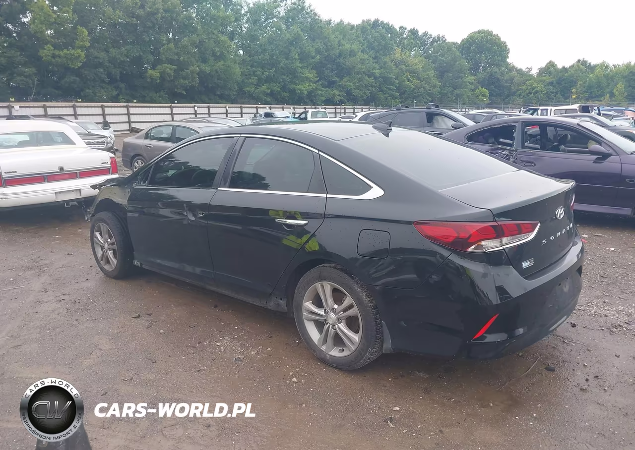 2018 Hyundai Sonata Sel VIN:5NPE34AF3JH616545 - 3