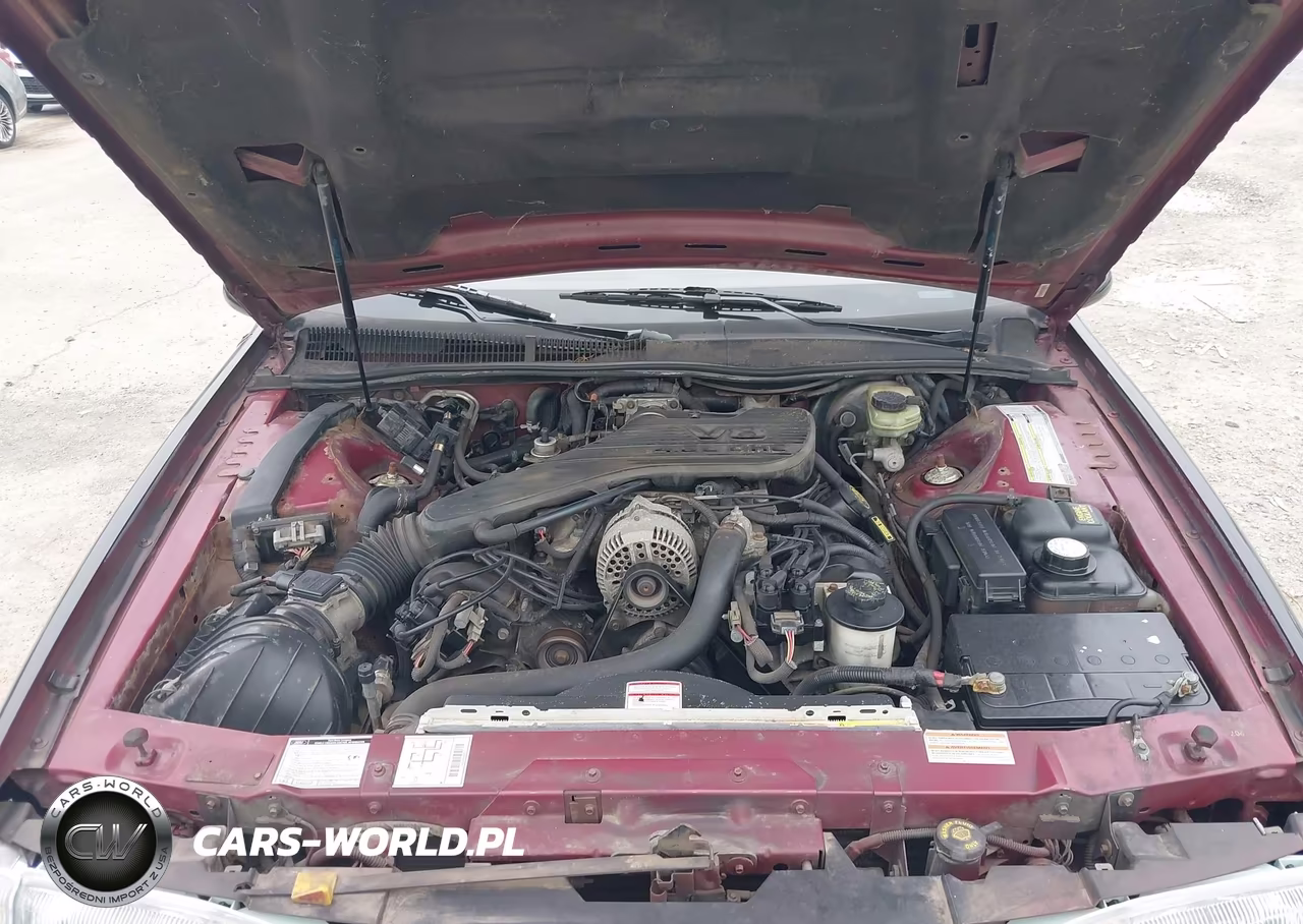 1994 Ford Thunderbird Lx VIN:1FALP62W4RH125875 - 10
