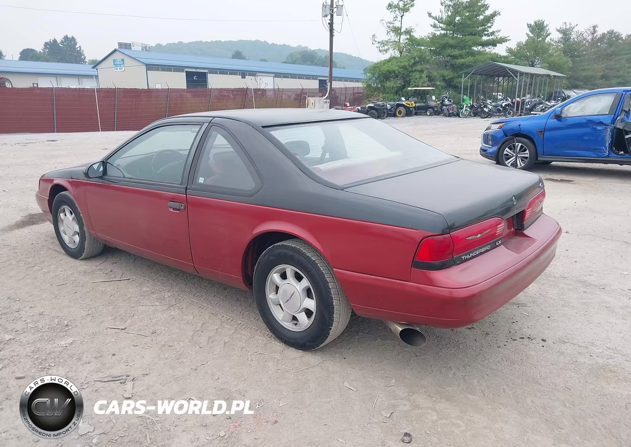 1994 Ford Thunderbird Lx VIN:1FALP62W4RH125875 - 3
