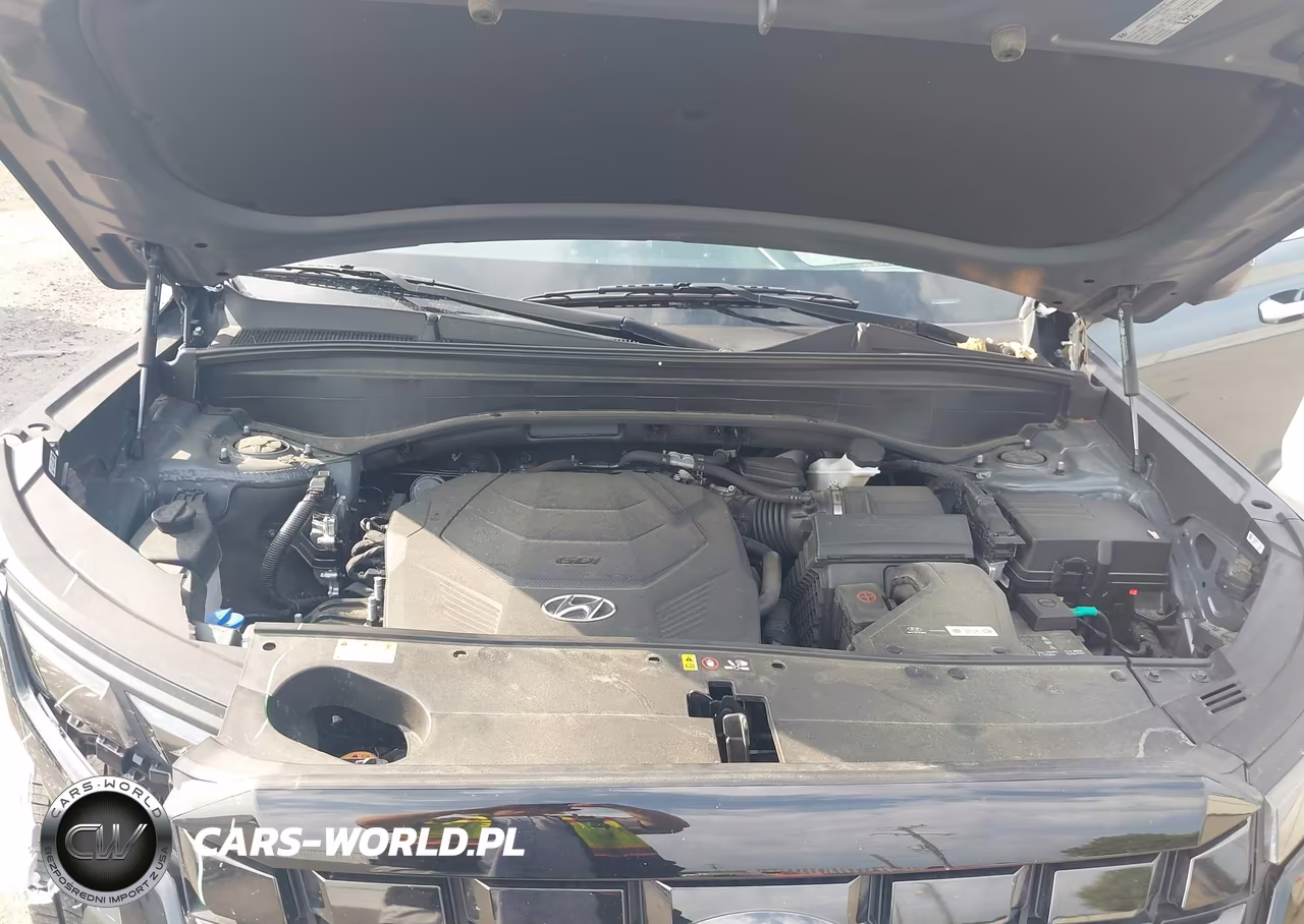 2023 Hyundai Palisade Sel VIN:KM8R4DGE3PU531163 - 10