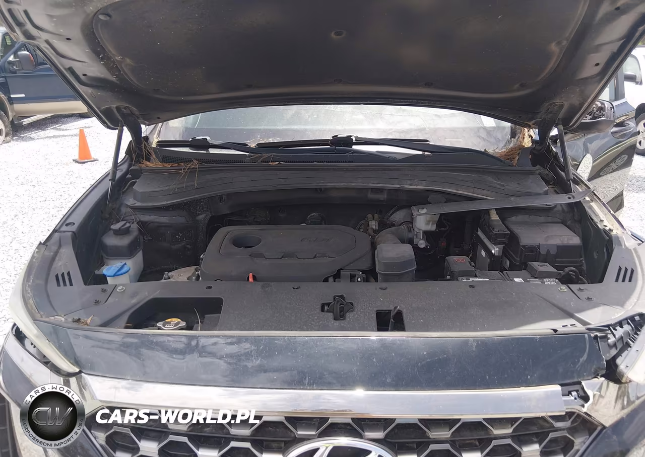 2019 Hyundai Santa Fe Se VIN:5NMS23AD2KH005709 - 10