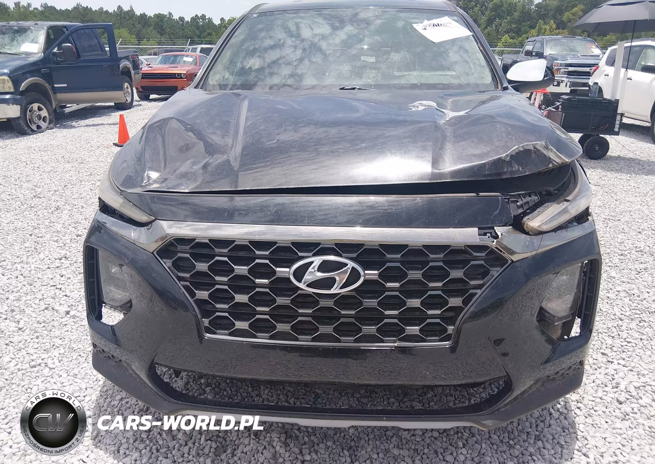 2019 Hyundai Santa Fe Se VIN:5NMS23AD2KH005709 - 12