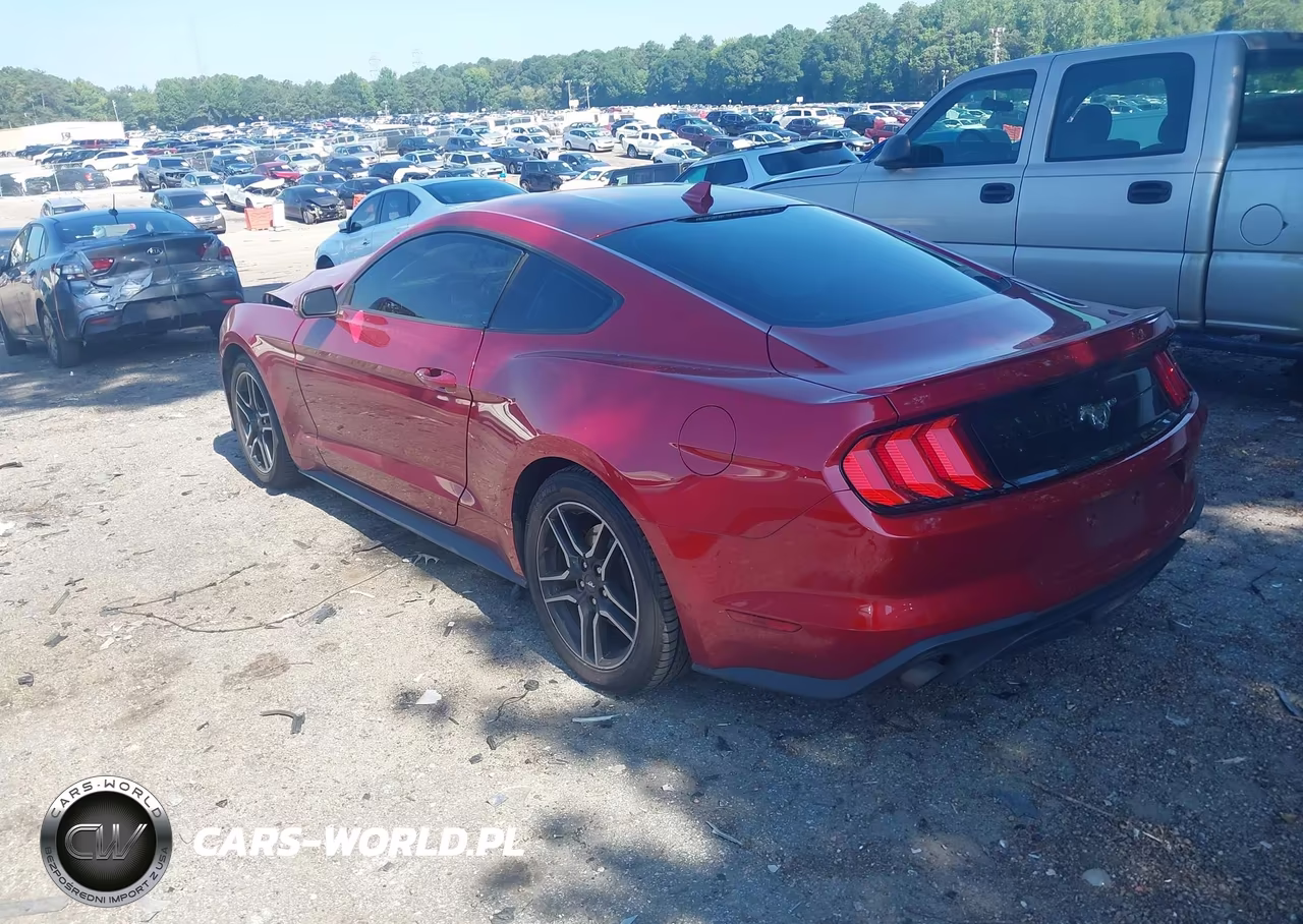 2021 Ford Mustang Ecoboost Premium Fastback VIN:1FA6P8TH5M5155471 - 3