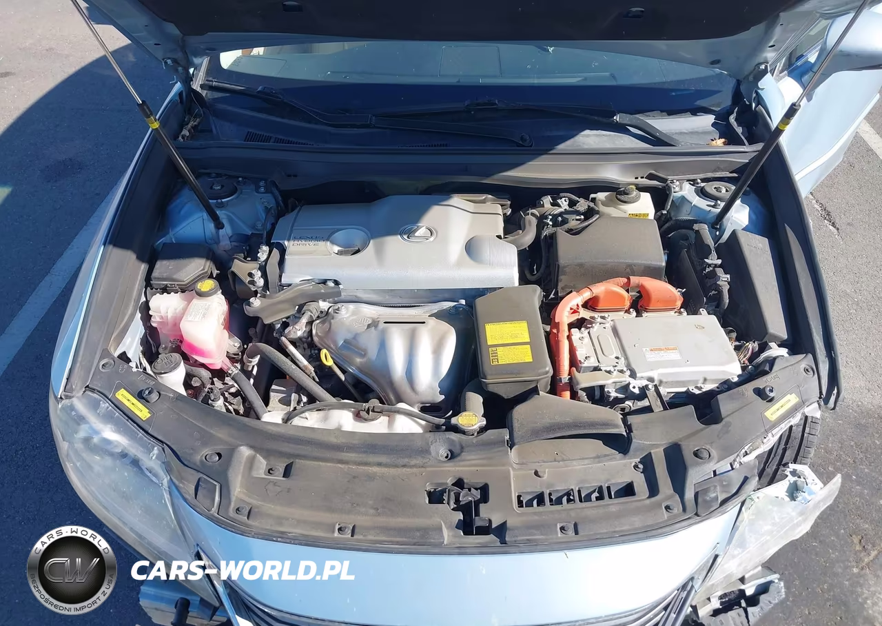 2013 Lexus Es 300H VIN:JTHBW1GG0D2031760 - 10