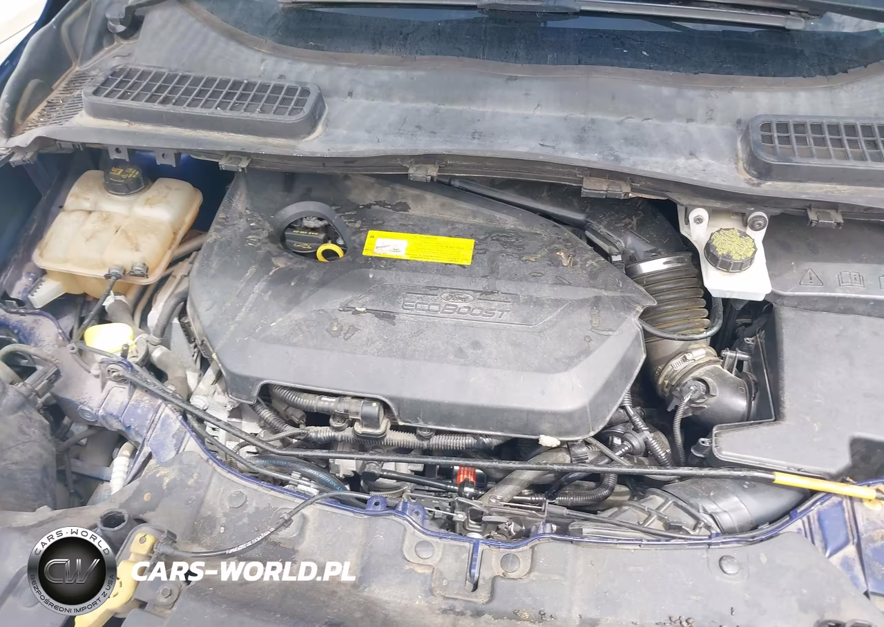 2015 Ford Escape Se VIN:1FMCU0GX9FUC12977 - 10
