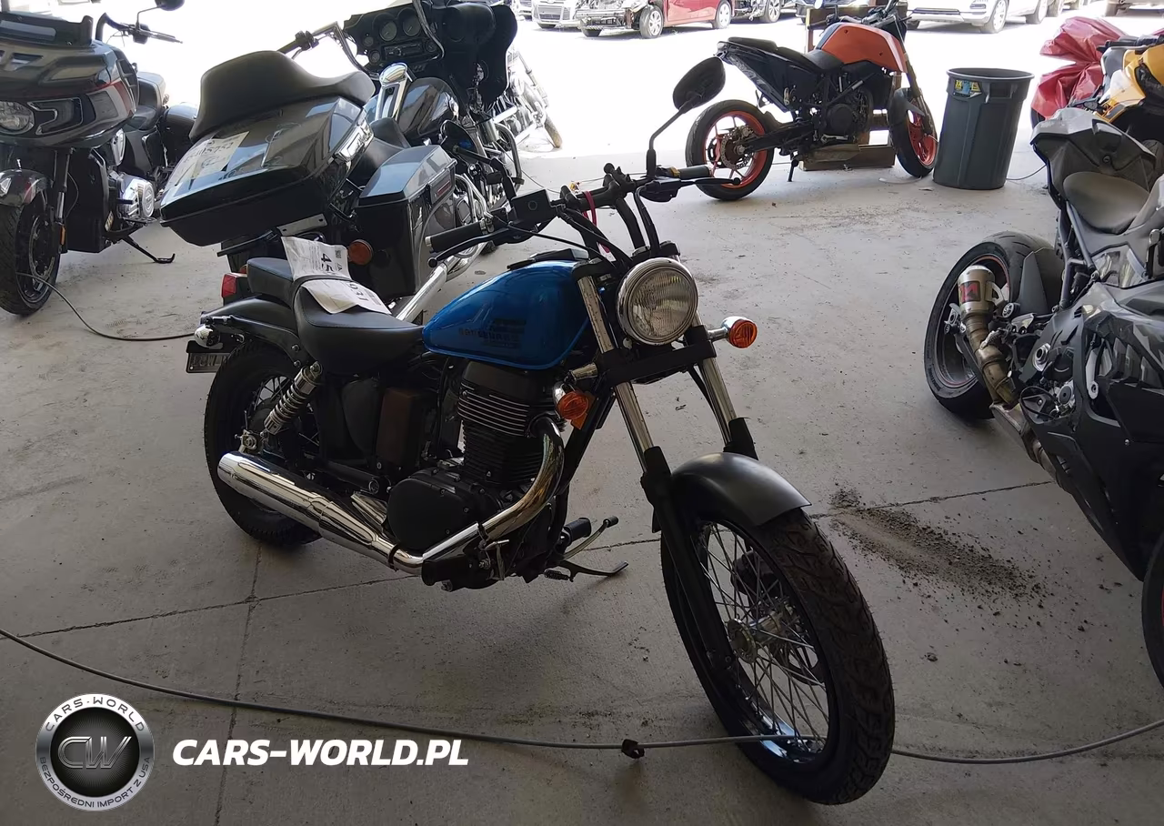 2019 Suzuki Ls650 – zdjęcie 1 z 14