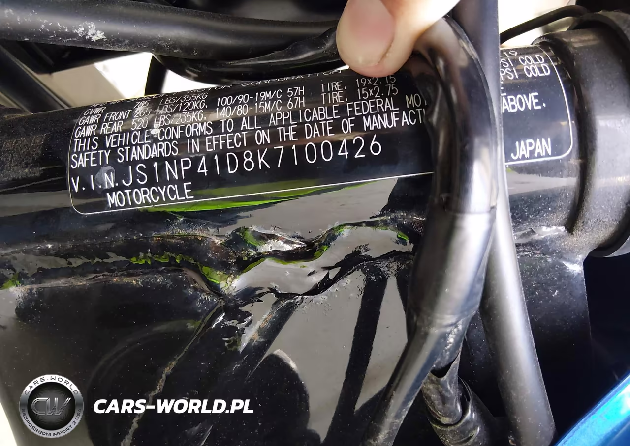 2019 Suzuki Ls650 VIN:JS1NP41D8K7100426 - 10