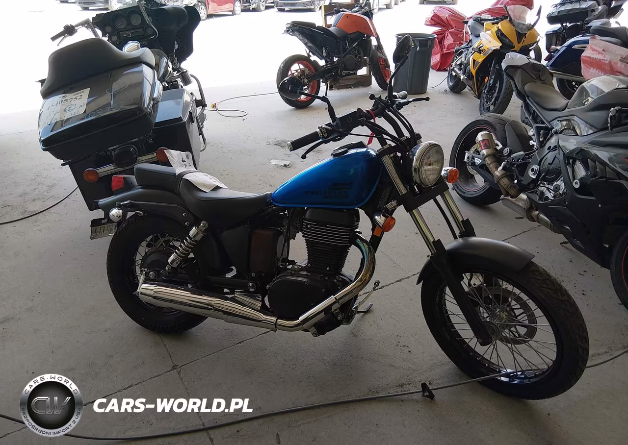 2019 Suzuki Ls650 VIN:JS1NP41D8K7100426 - 12