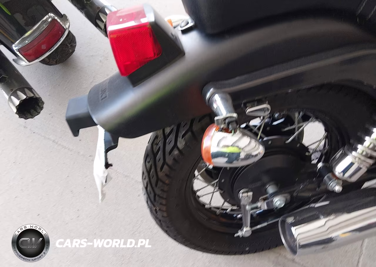2019 Suzuki Ls650 VIN:JS1NP41D8K7100426 - 14