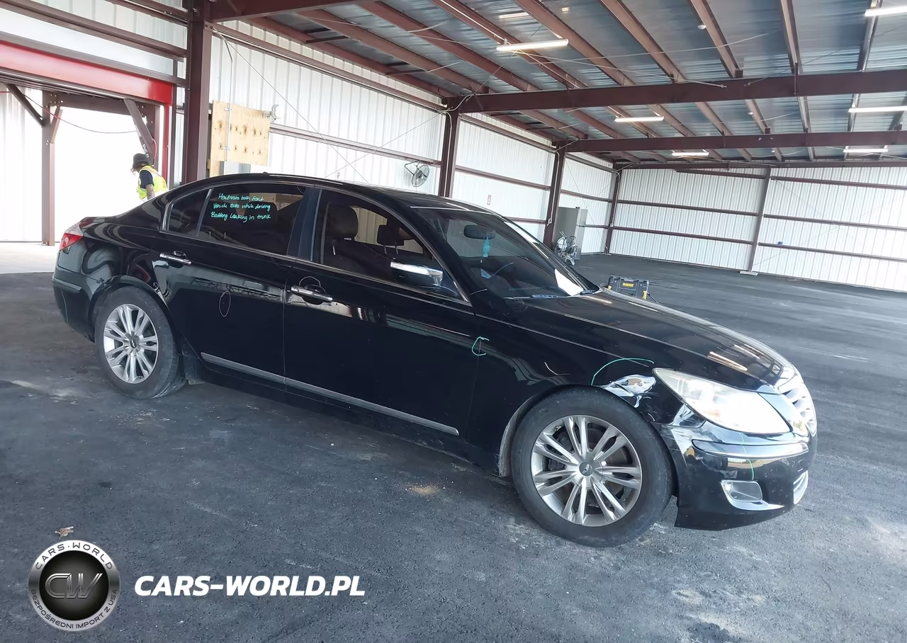 2009 Hyundai Genesis 4.6
