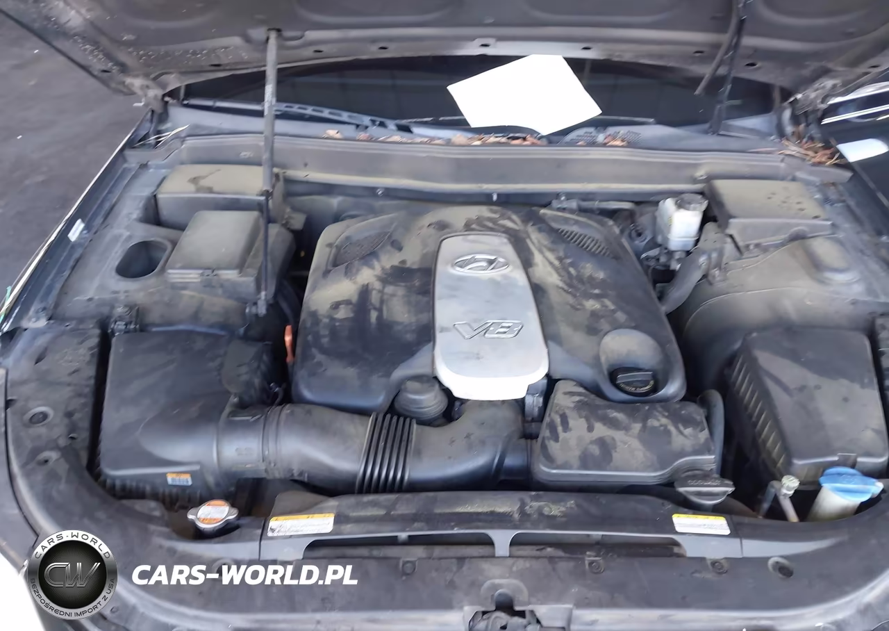 2009 Hyundai Genesis 4.6 VIN:KMHGC46FX9U055131 - 10
