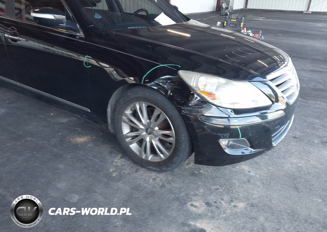 2009 Hyundai Genesis 4.6 VIN:KMHGC46FX9U055131 - 6