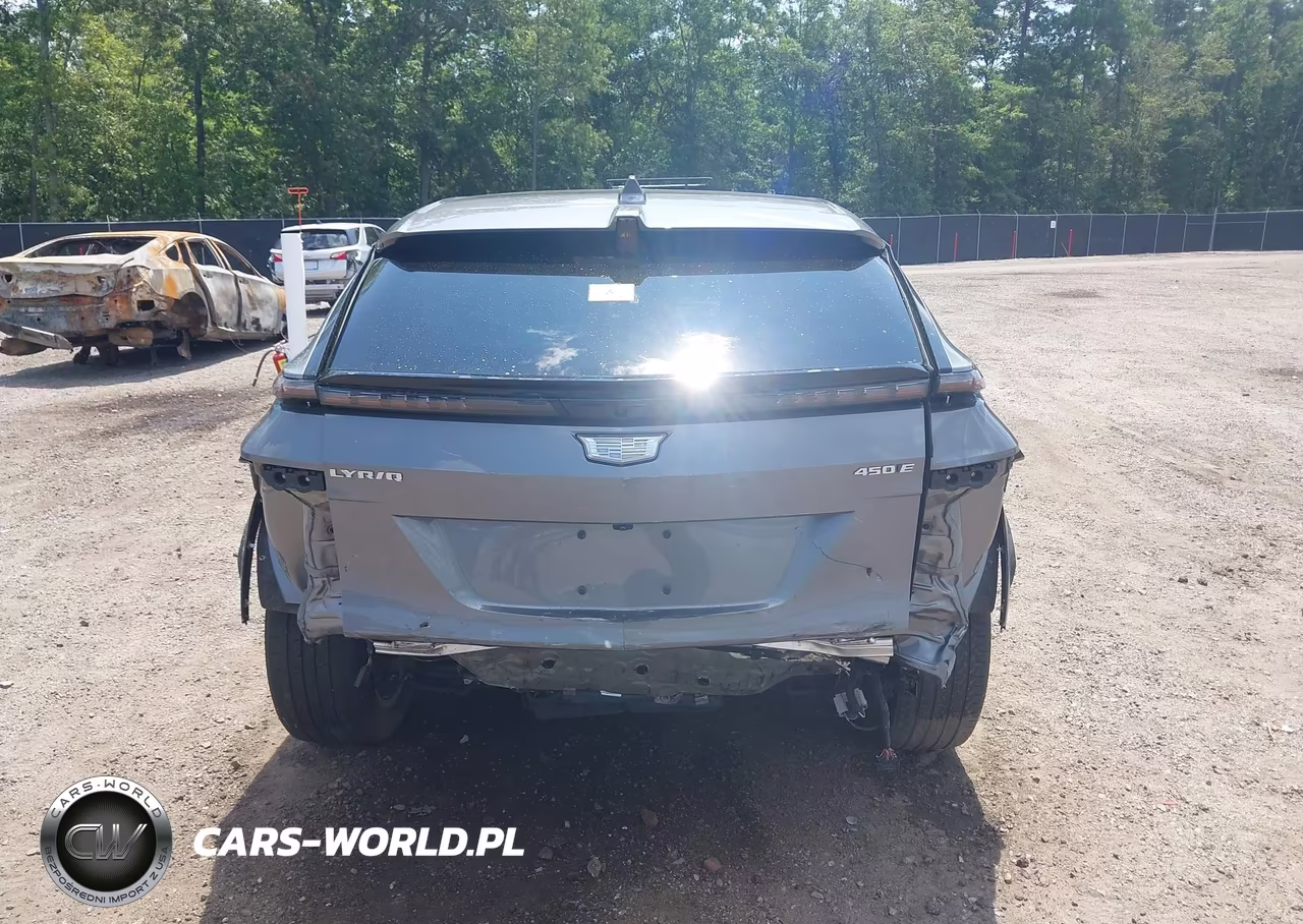 2023 Cadillac Lyriq Rwd Luxury VIN:1GYKPMRK6PZ002285 - 17