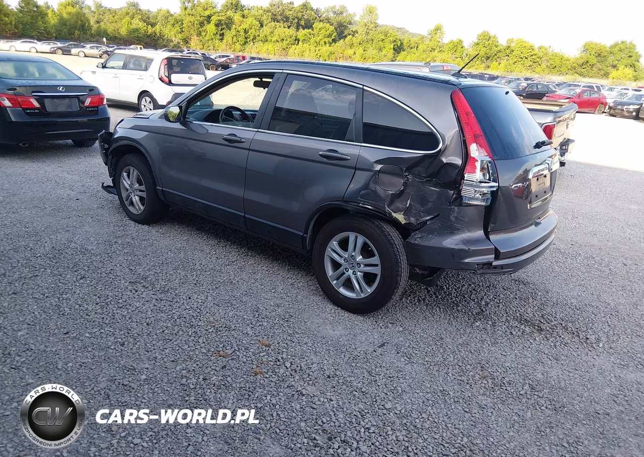 2010 Honda Cr-V Ex-L VIN:5J6RE3H71AL048404 - 3