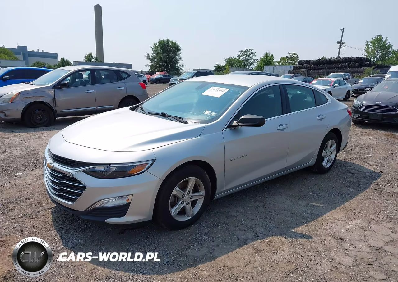 2021 Chevrolet Malibu Fwd 1Fl VIN:1G1ZC5ST8MF036999 - 2