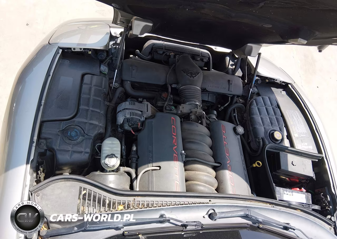 1999 Chevrolet Corvette VIN:1G1YY32G3X5101417 - 10