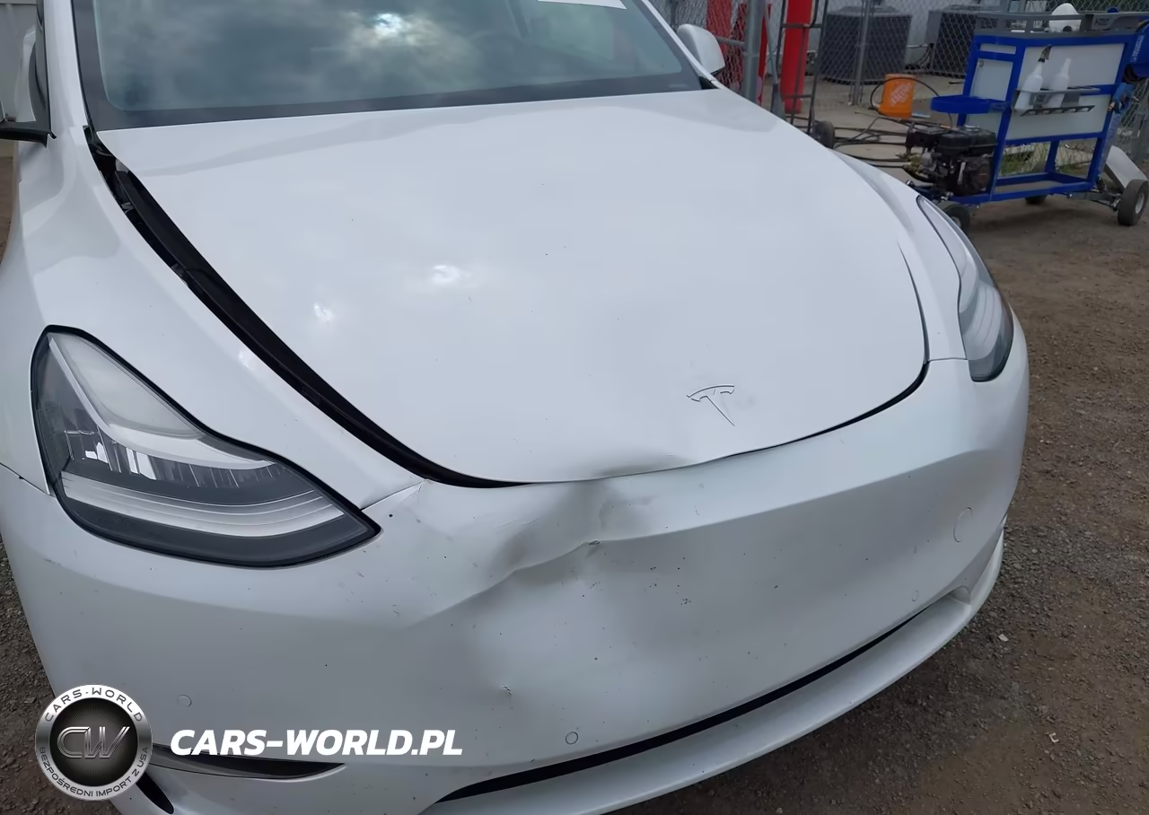 2021 Tesla Model Y Long Range Dual Motor All-Wheel Drive VIN:5YJYGDEE4MF287411 - 19