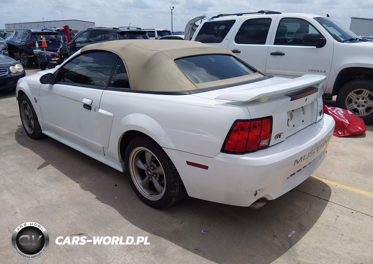 2004 Ford Mustang Gt VIN:1FAFP45X34F140944 - 3