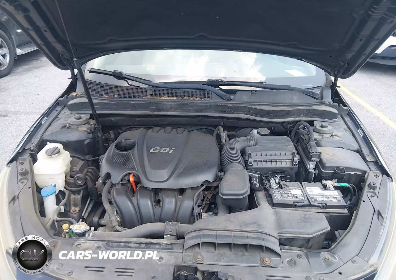2015 Kia Optima Lx VIN:5XXGM4A72FG446406 - 10