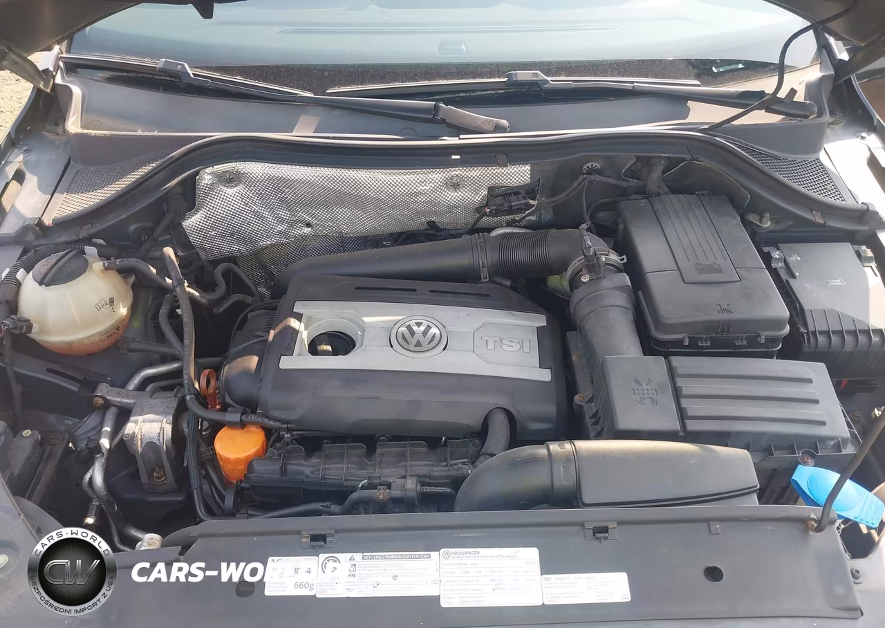 2012 Volkswagen Tiguan Le VIN:WVGAV7AX9CW578220 - 10