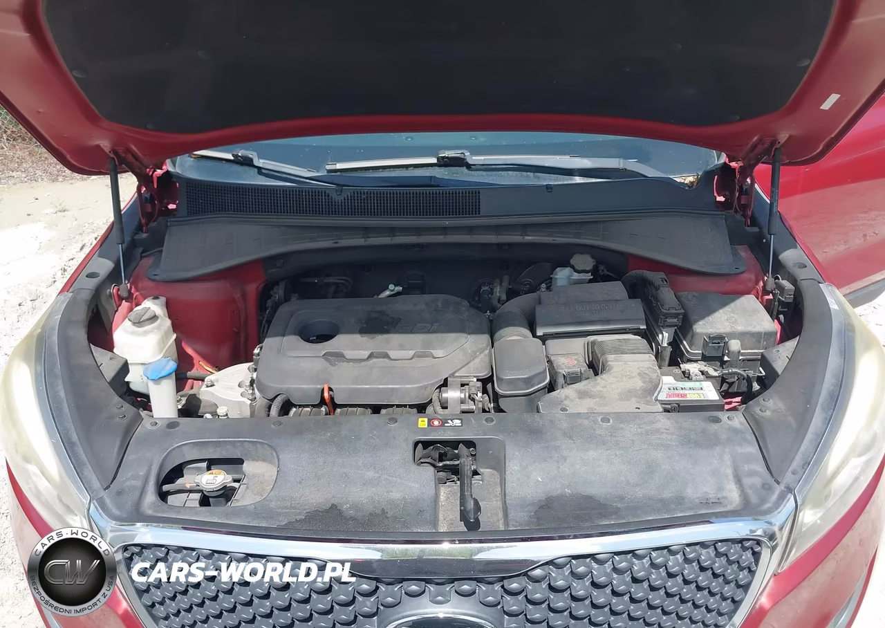 2017 Kia Sorento 2.4L Lx VIN:5XYPG4A36HG206861 - 10