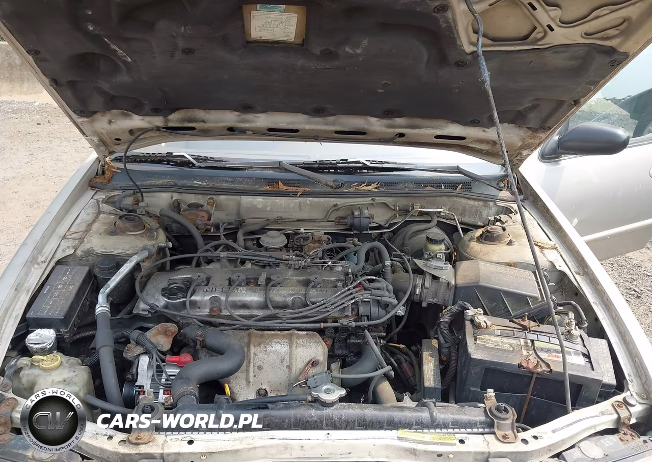 1997 Nissan Altima Gle-Gxe-Se-Xe VIN:1N4BU31D4VC128401 - 10