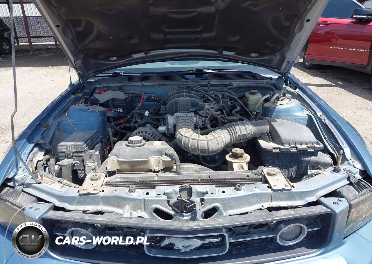 2007 Ford Mustang V6 Deluxe-V6 Premium VIN:1ZVHT80NX75239005 - 10
