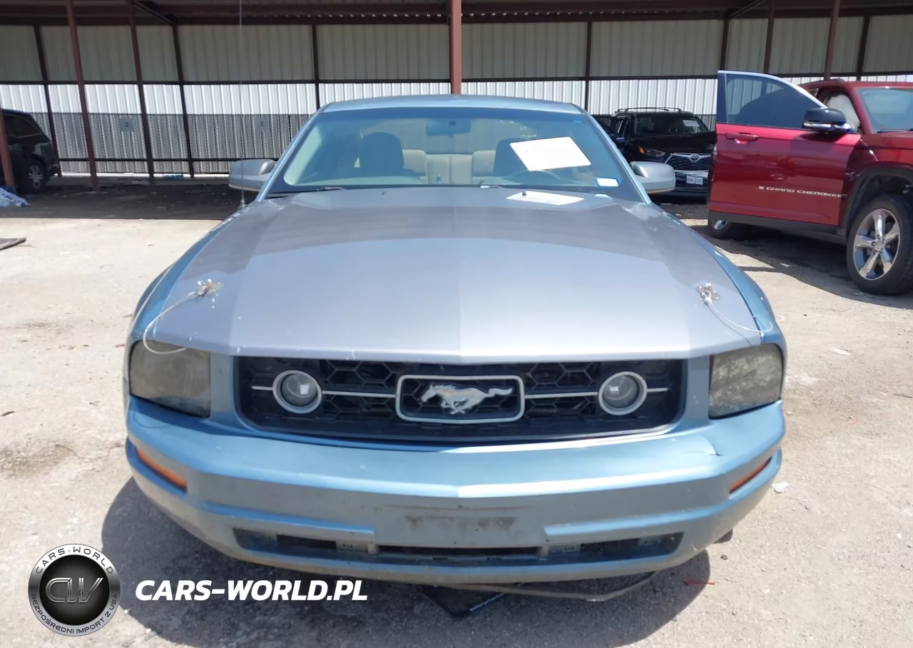 2007 Ford Mustang V6 Deluxe-V6 Premium VIN:1ZVHT80NX75239005 - 11