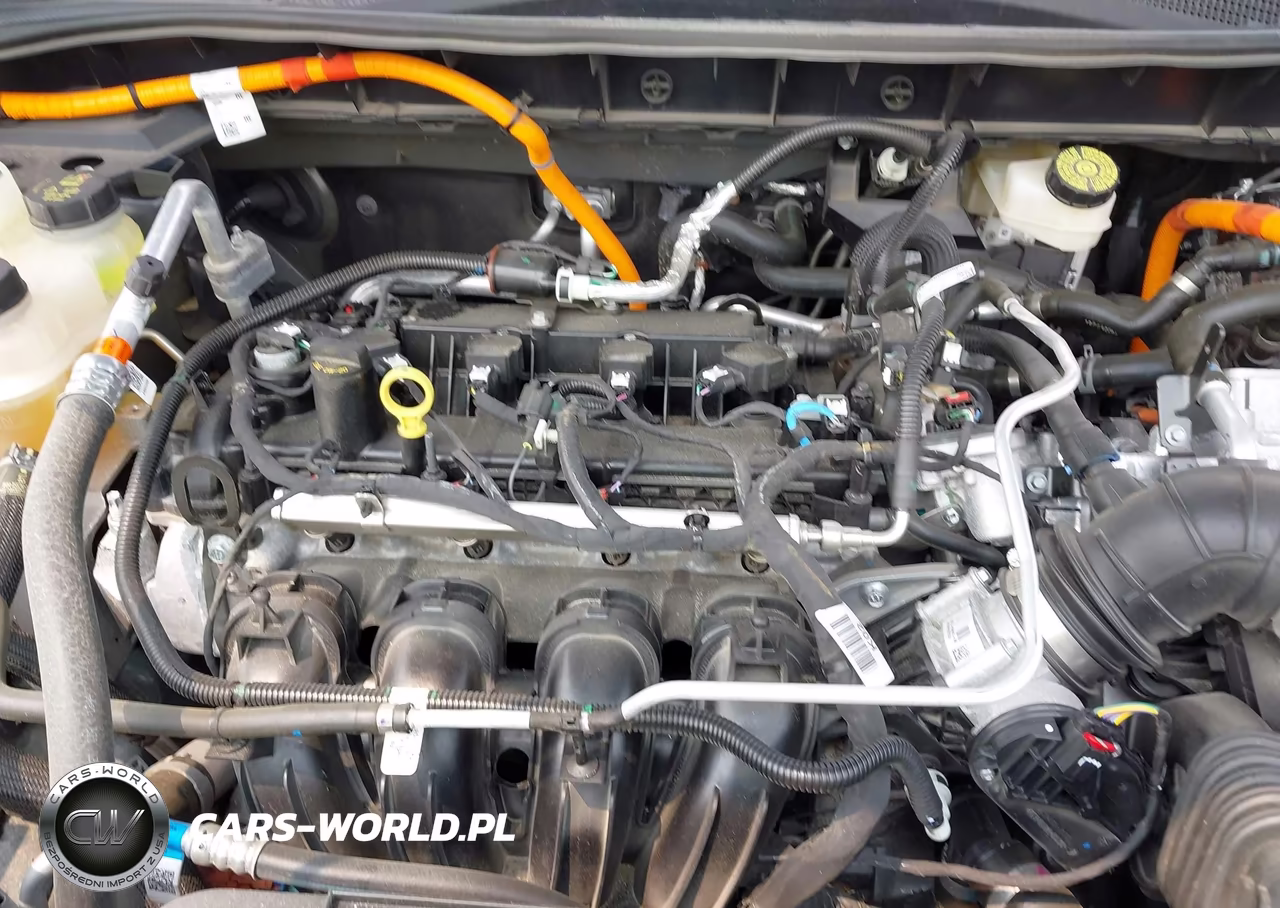 2025 Ford Escape St-Line VIN:1FMCU0MZ7SUA27939 - 10