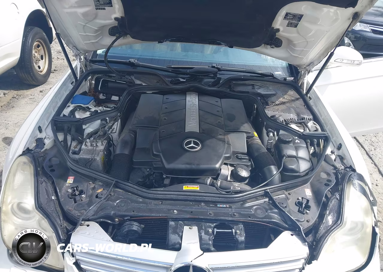 2006 Mercedes-Benz Cls 500 VIN:WDDDJ75X16A039251 - 10