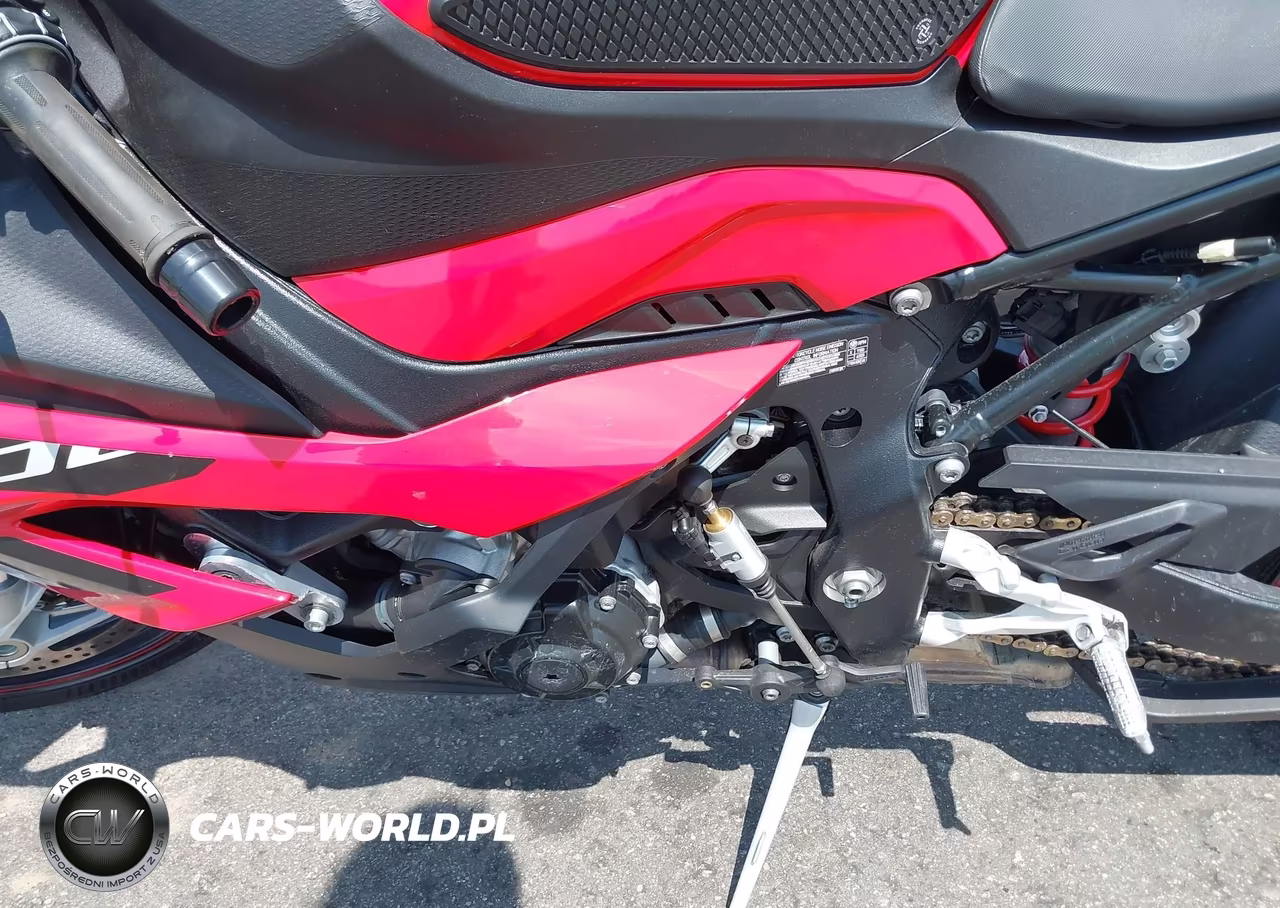2024 BMW S 1000 Rr VIN:WB10E6305R6K18118 - 9