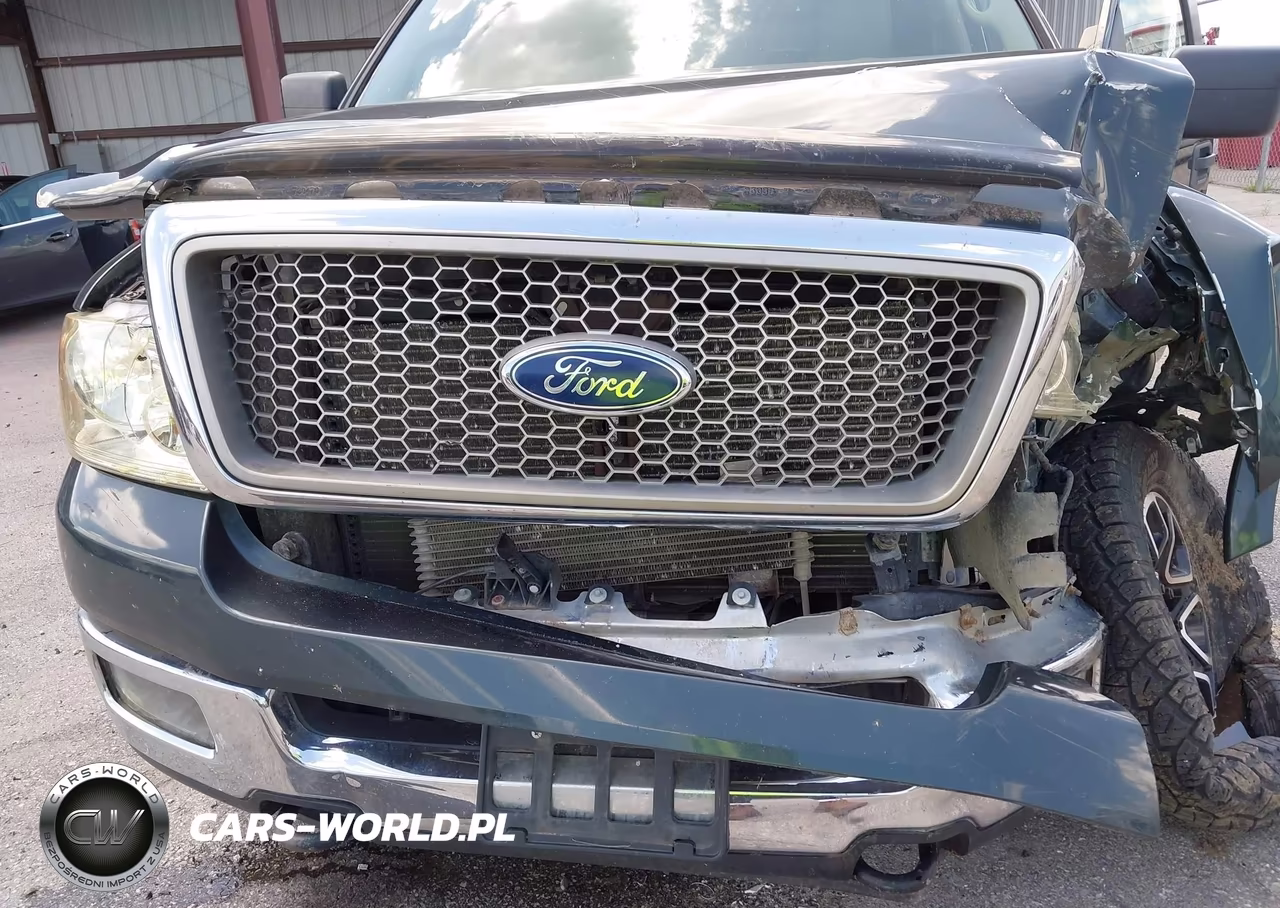 2005 Ford F-150 Fx4-Lariat-Xlt VIN:1FTPW14555FB18929 - 6