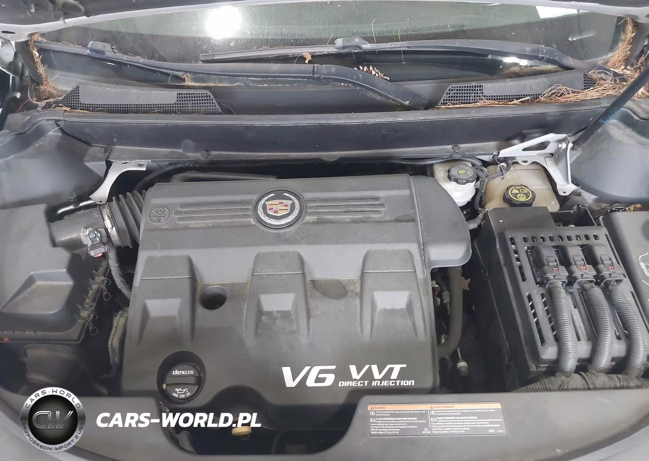 2012 Cadillac Srx Luxury Collection VIN:3GYFNDE30CS622319 - 10