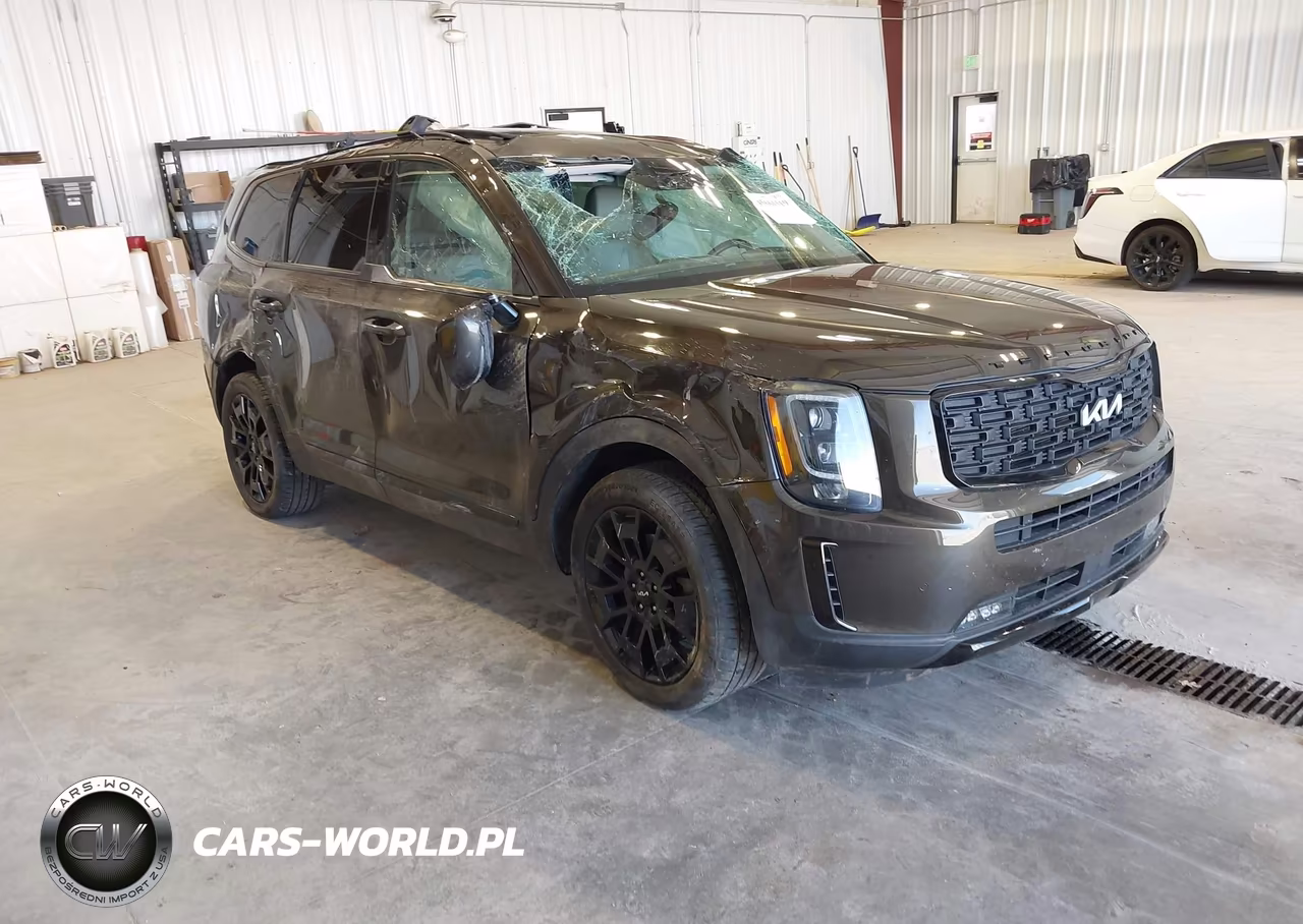 2022 Kia Telluride Sx VIN:5XYP5DHC3NG283453 - 1