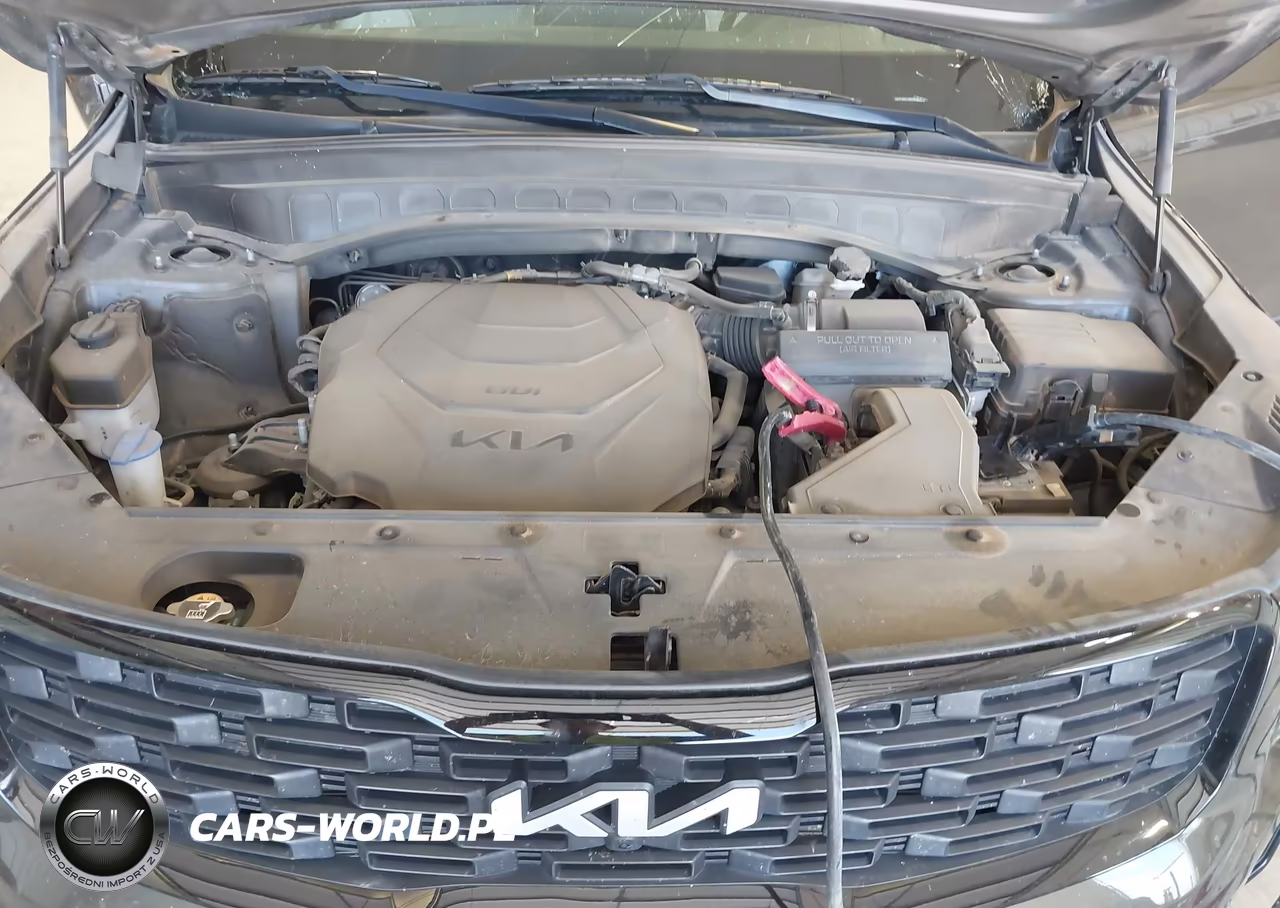 2022 Kia Telluride Sx VIN:5XYP5DHC3NG283453 - 10