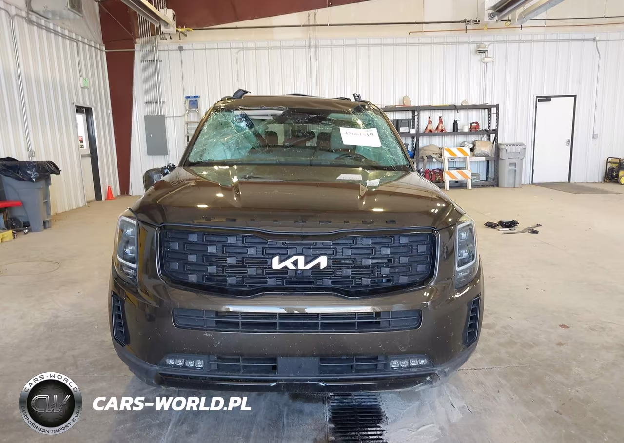 2022 Kia Telluride Sx VIN:5XYP5DHC3NG283453 - 13