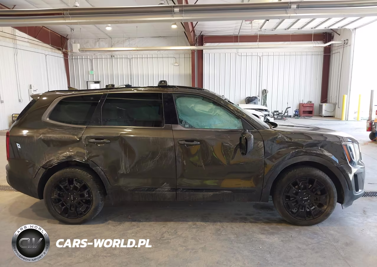 2022 Kia Telluride Sx VIN:5XYP5DHC3NG283453 - 14
