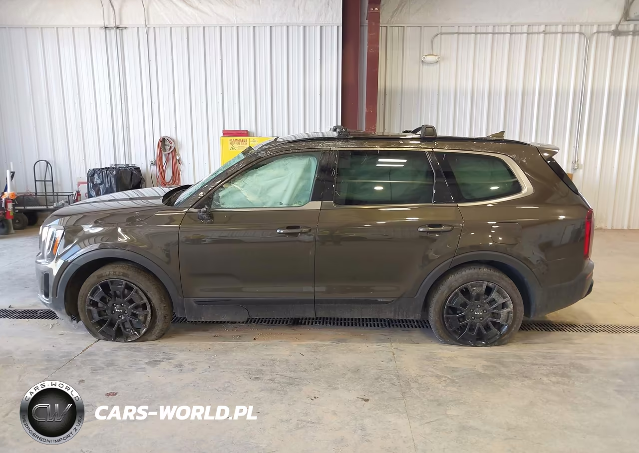 2022 Kia Telluride Sx VIN:5XYP5DHC3NG283453 - 15