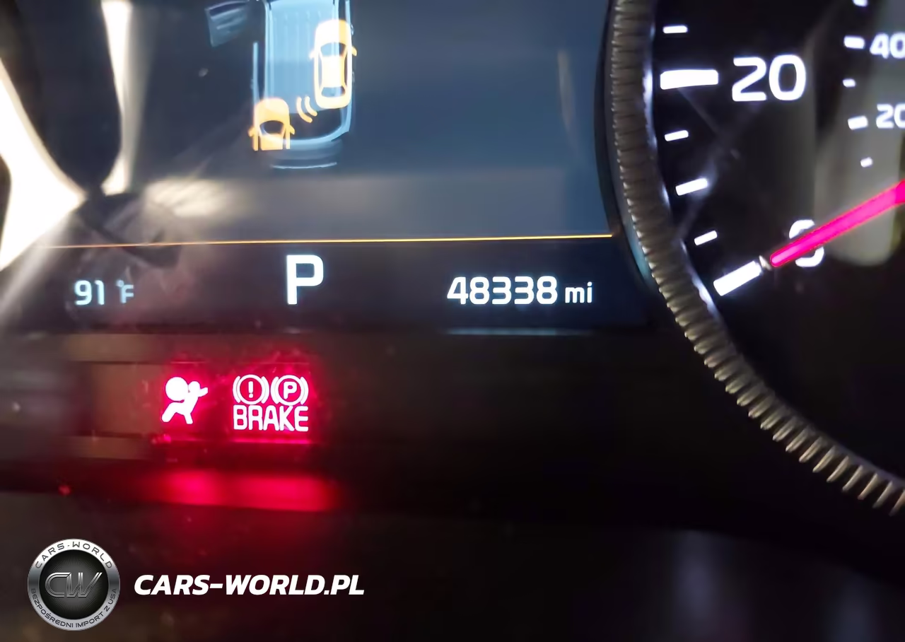 2022 Kia Telluride Sx VIN:5XYP5DHC3NG283453 - 16